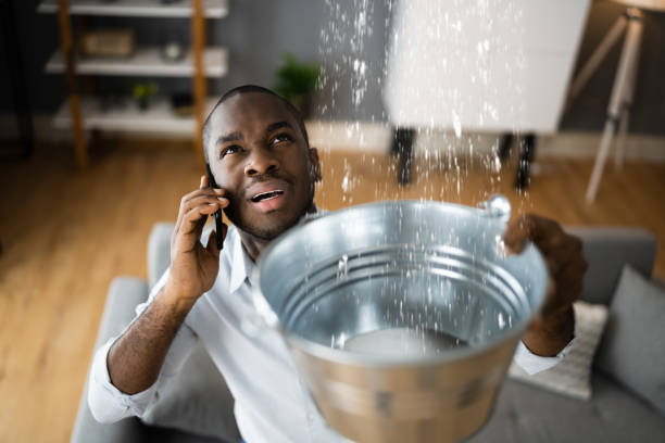 Best 24/7 water damage repair  in Angustura, NM