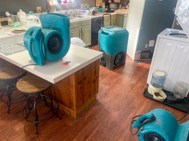 Best Water damage restoration near me  in Angustura, NM