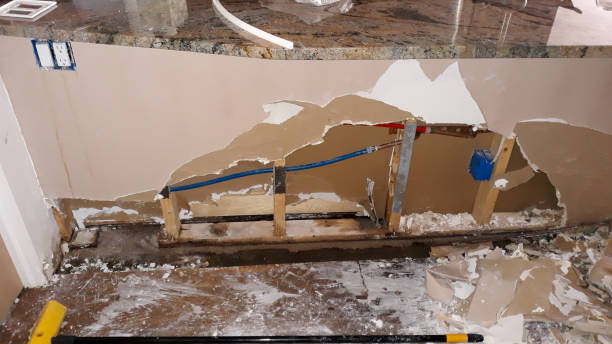 Best Water damage restoration near me  in Angustura, NM