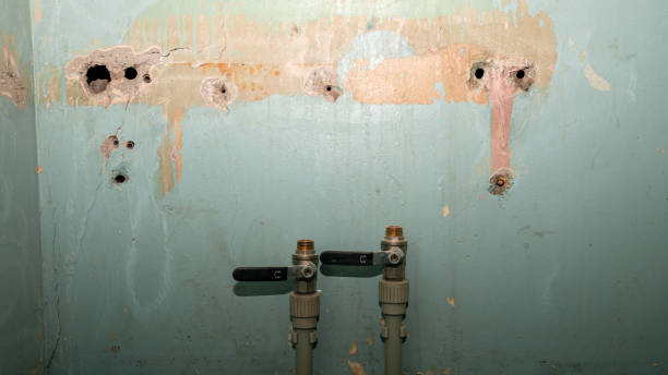 Best Commercial water damage restoration  in Angustura, NM