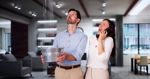 Best Water damage cleanup near me  in Angustura, NM