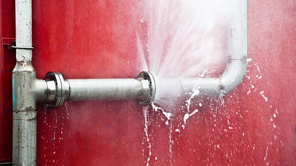 Best Water damage restoration near me  in Angustura, NM